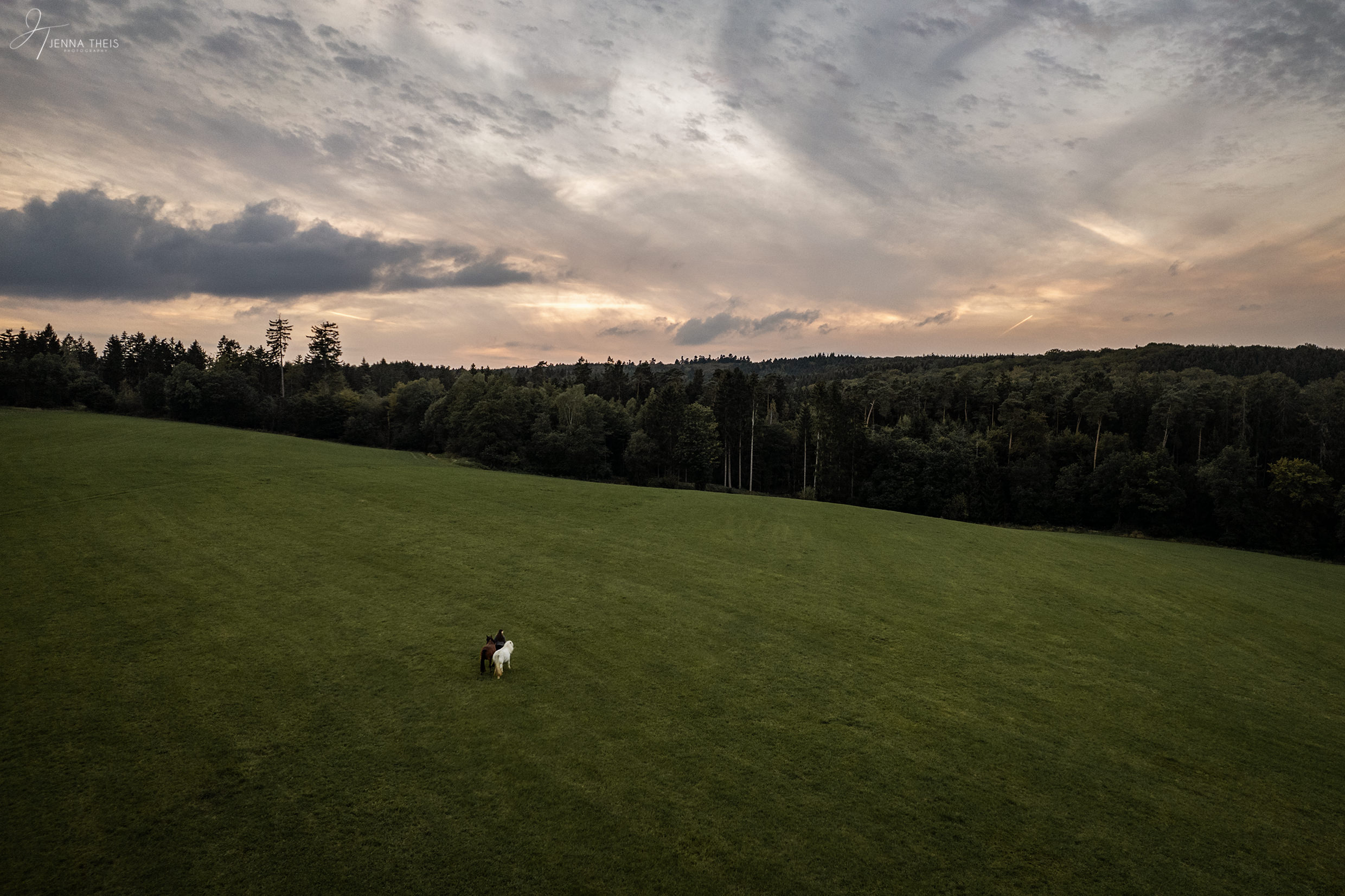Drohnenfoto, Mädchen steht mit zwei Pferden auf einer weiten Wiese mit Wald im Hintergrund
