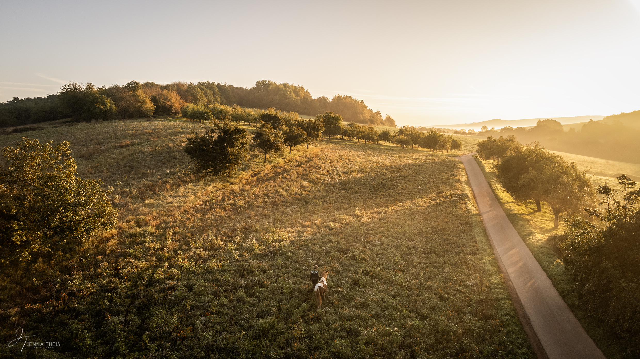 Drohnenfoto von einer Frau mit ihrem Fuchsschecken Isländer beim Laufen über eine Wiese im Sonnenaufgang