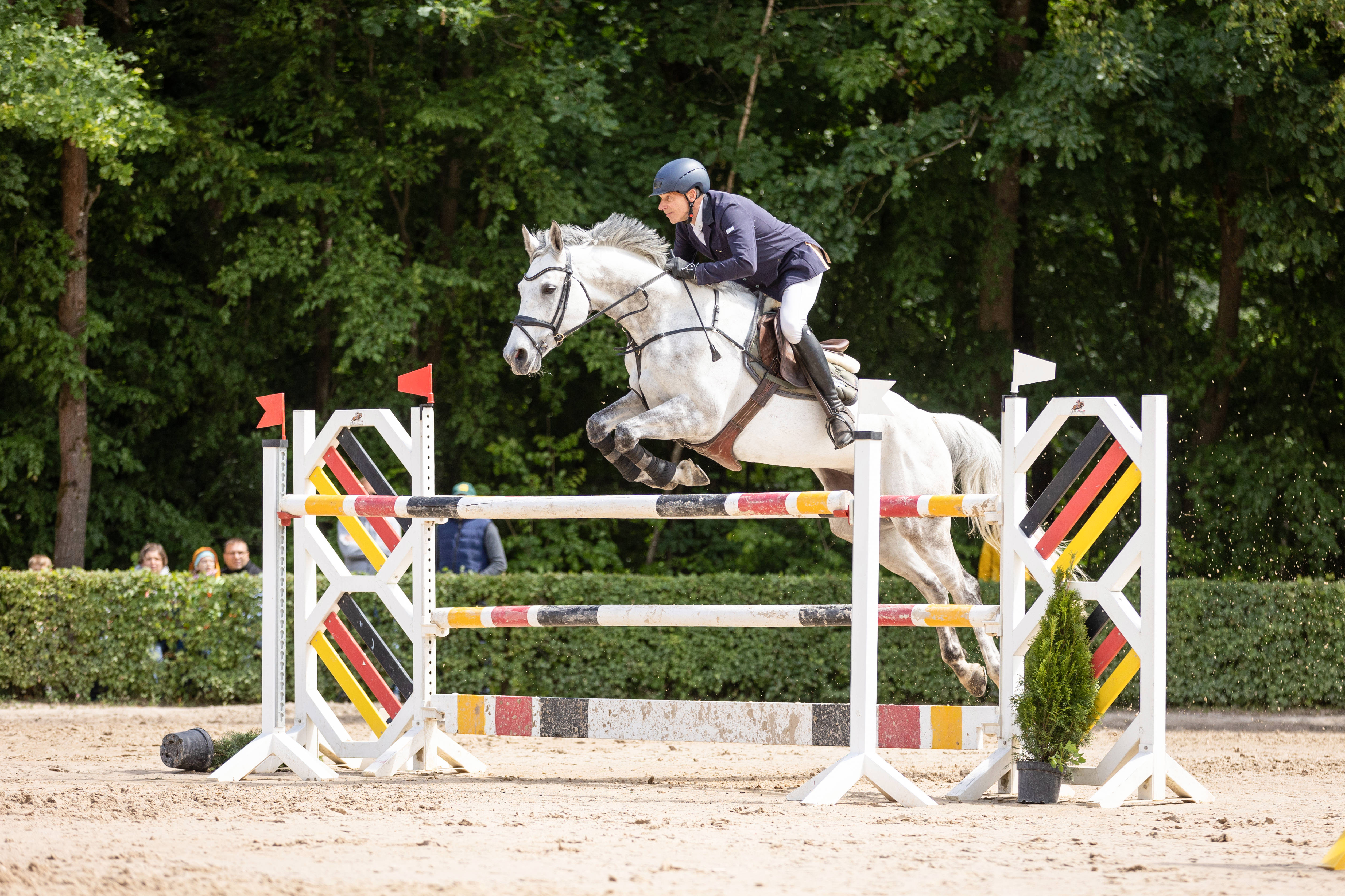Reiter mit seinem weißen Pferd über Sprung mit Deutschlandfarben bei einem Springturnier