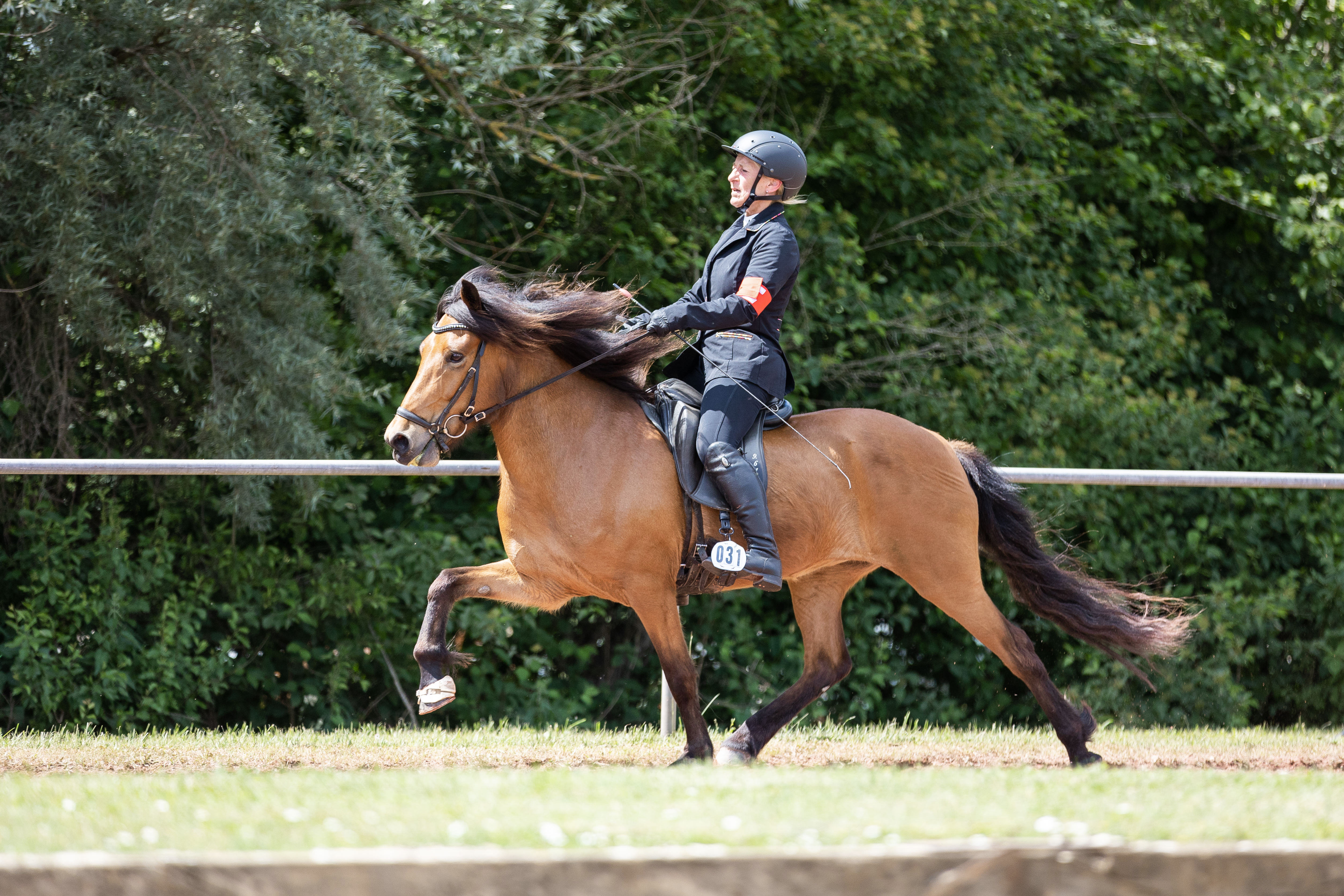 Reiterin mit töltendem Islandpferd auf einem Turnier