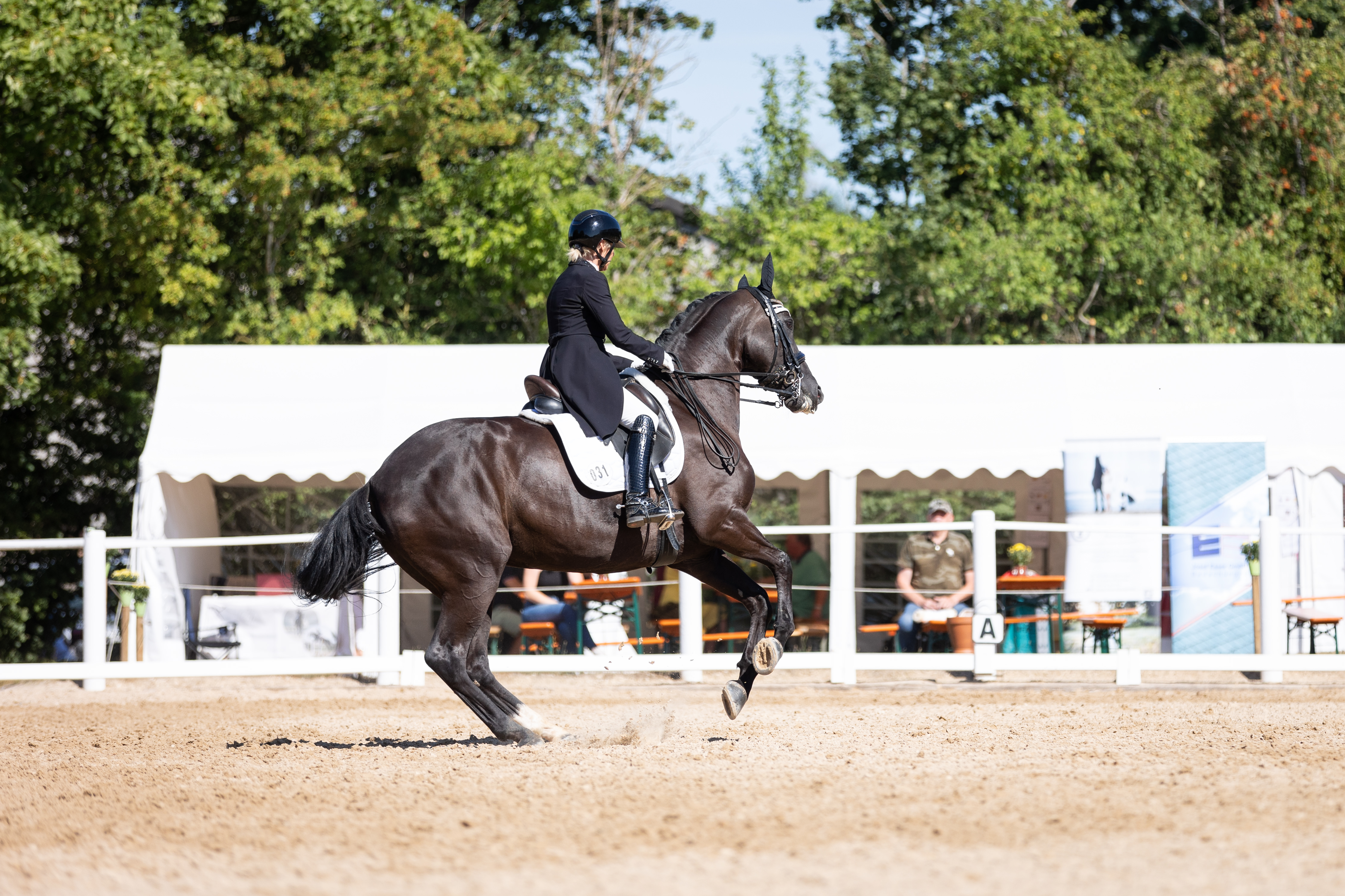 Reiterin mit schwarzem Pferd bei einer Pirouette während einer Dressurprüfung