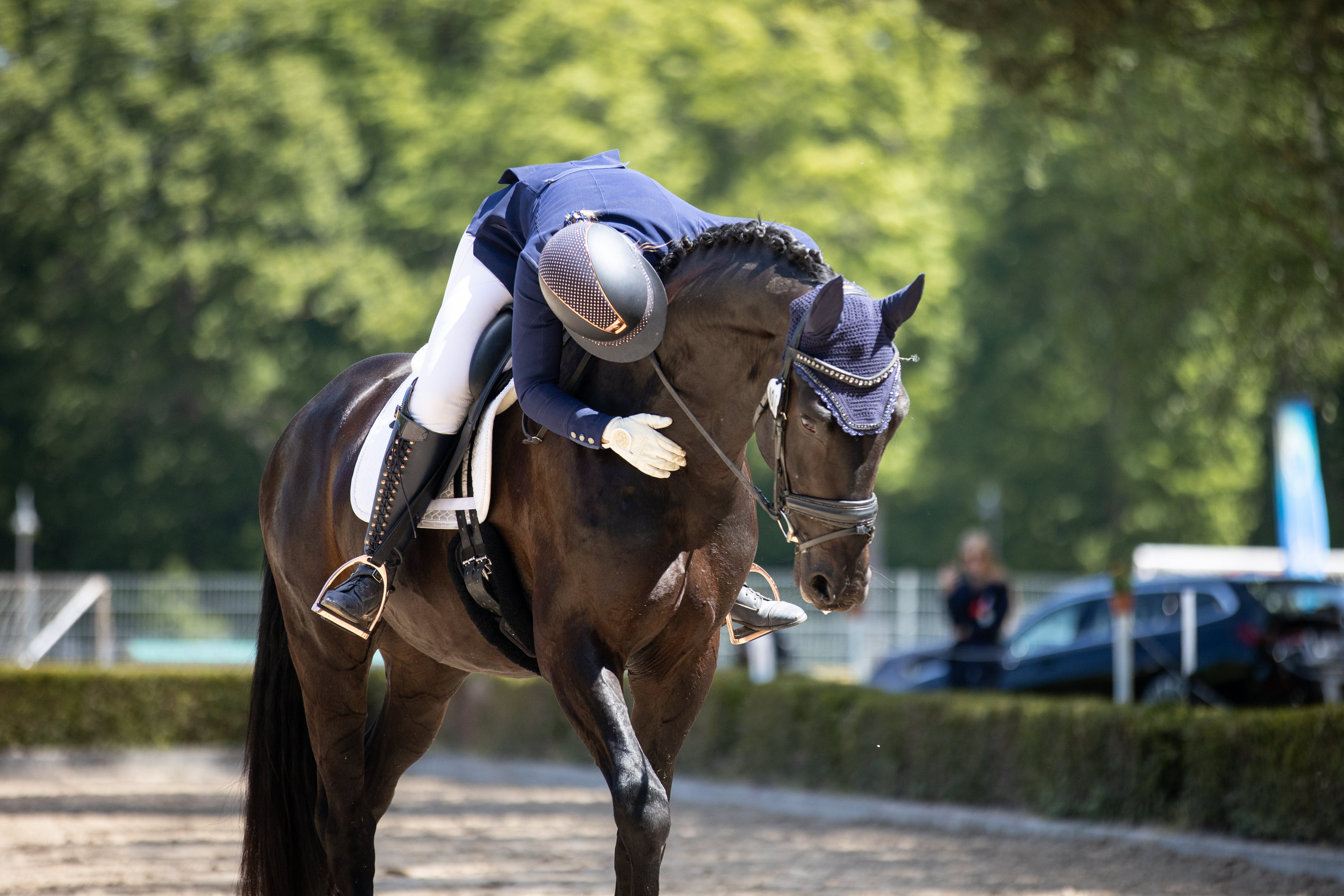 Reiterin beugt sich nach vorne und lobt ihr schwarzes Pferd nach einer Dressurprüfung