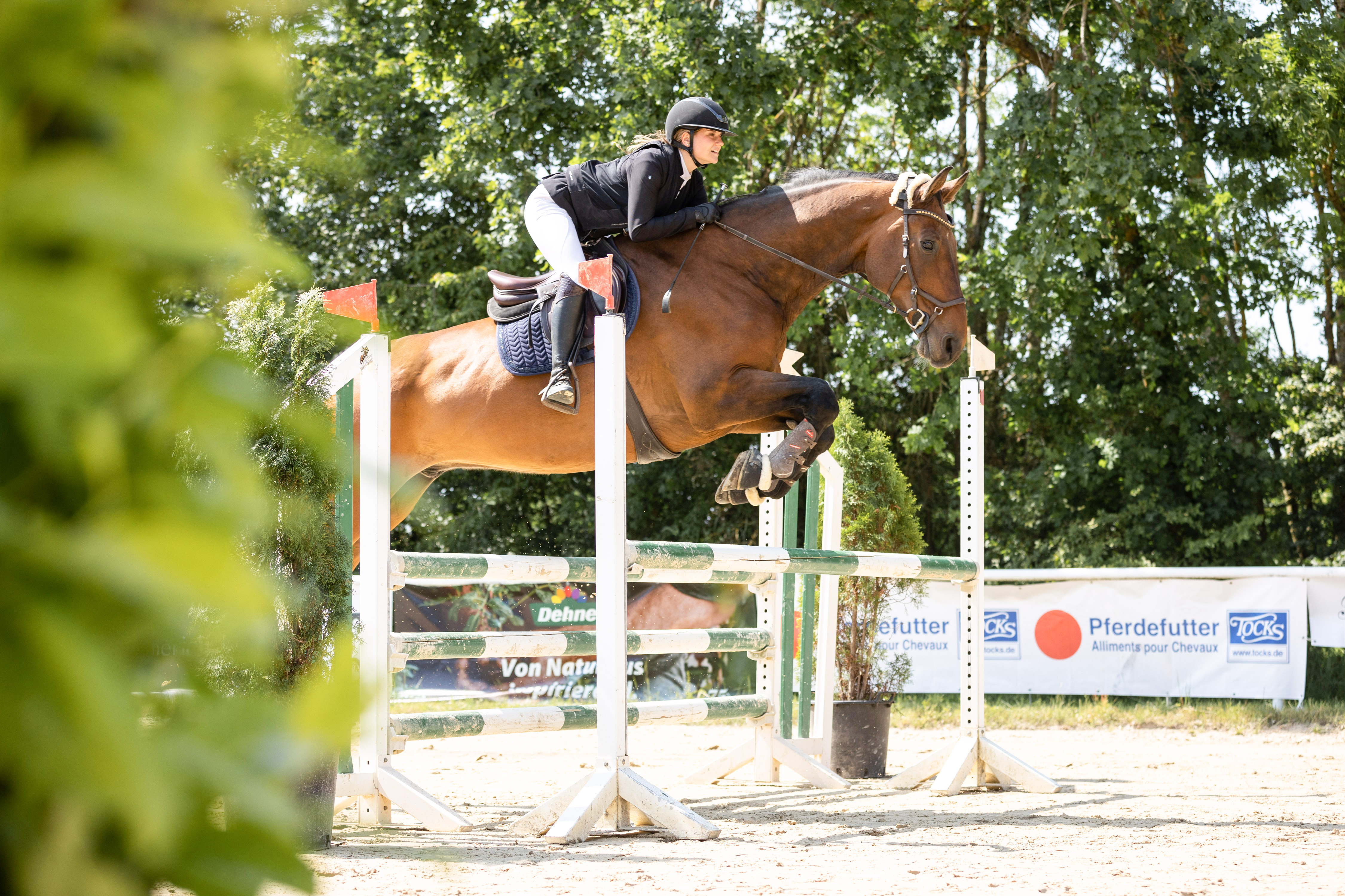 Mädchen mit Pferd über einem grünen Sprung, seitlich fotografiert, unscharfe Hecke im Vordergrund links
