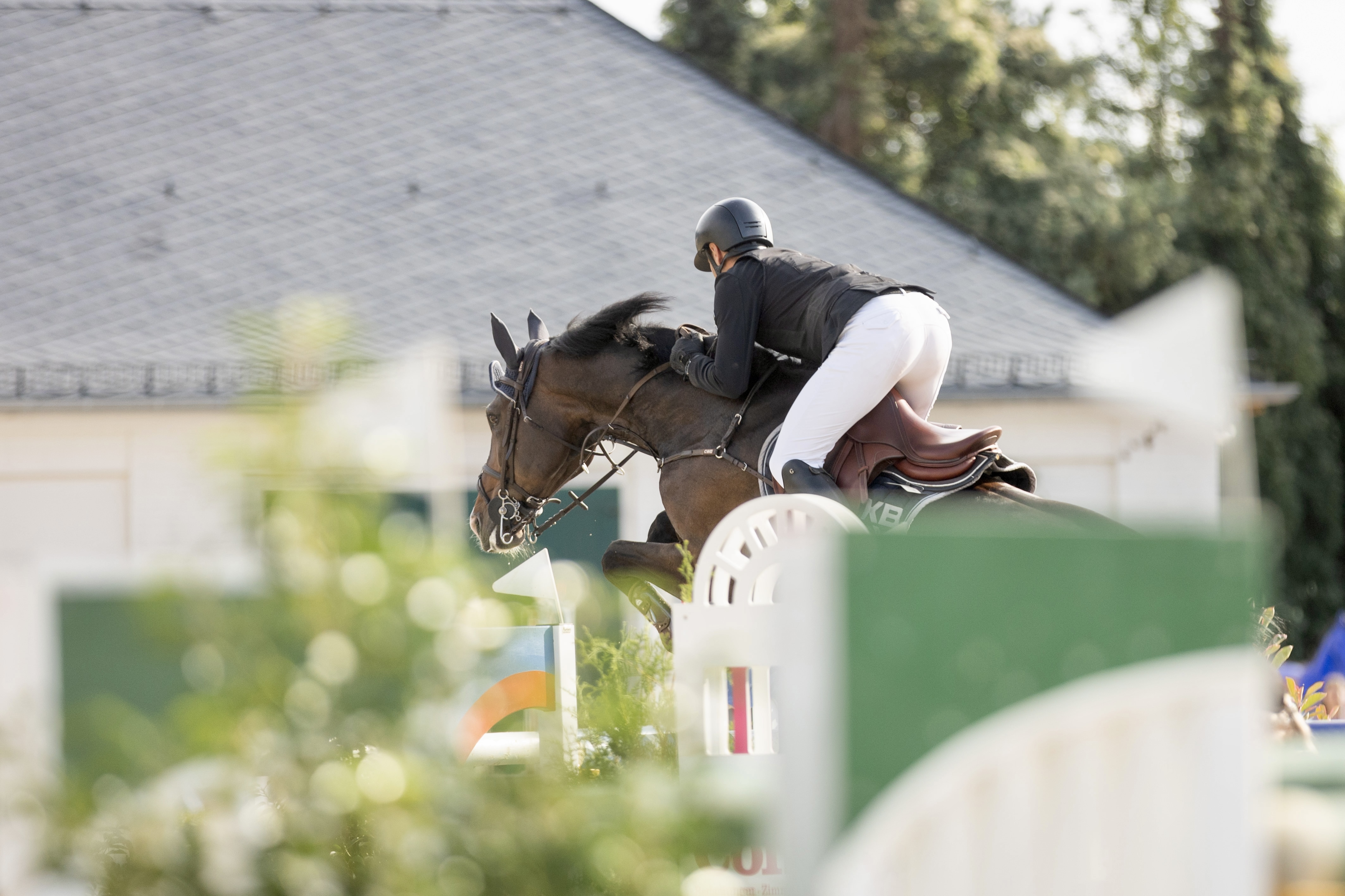 Reiter mit Pferd über einem Sprung, seitlich von hinten fotografierte, unscharfe Sprungständer und Hecken im Vordergrund