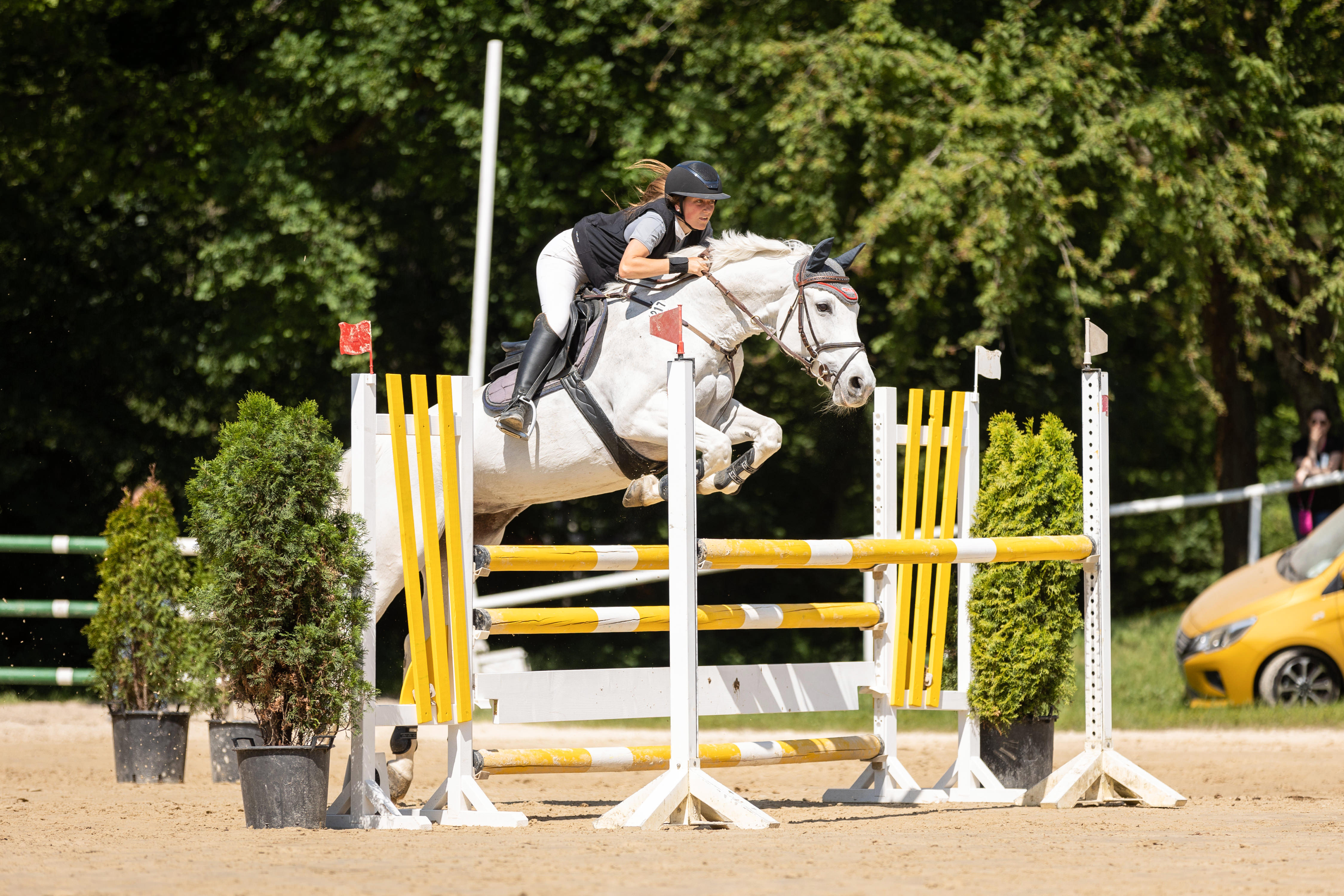 Weißes Pferd mit Reiterin über einem gelben Sprung beim Reitverein Trier