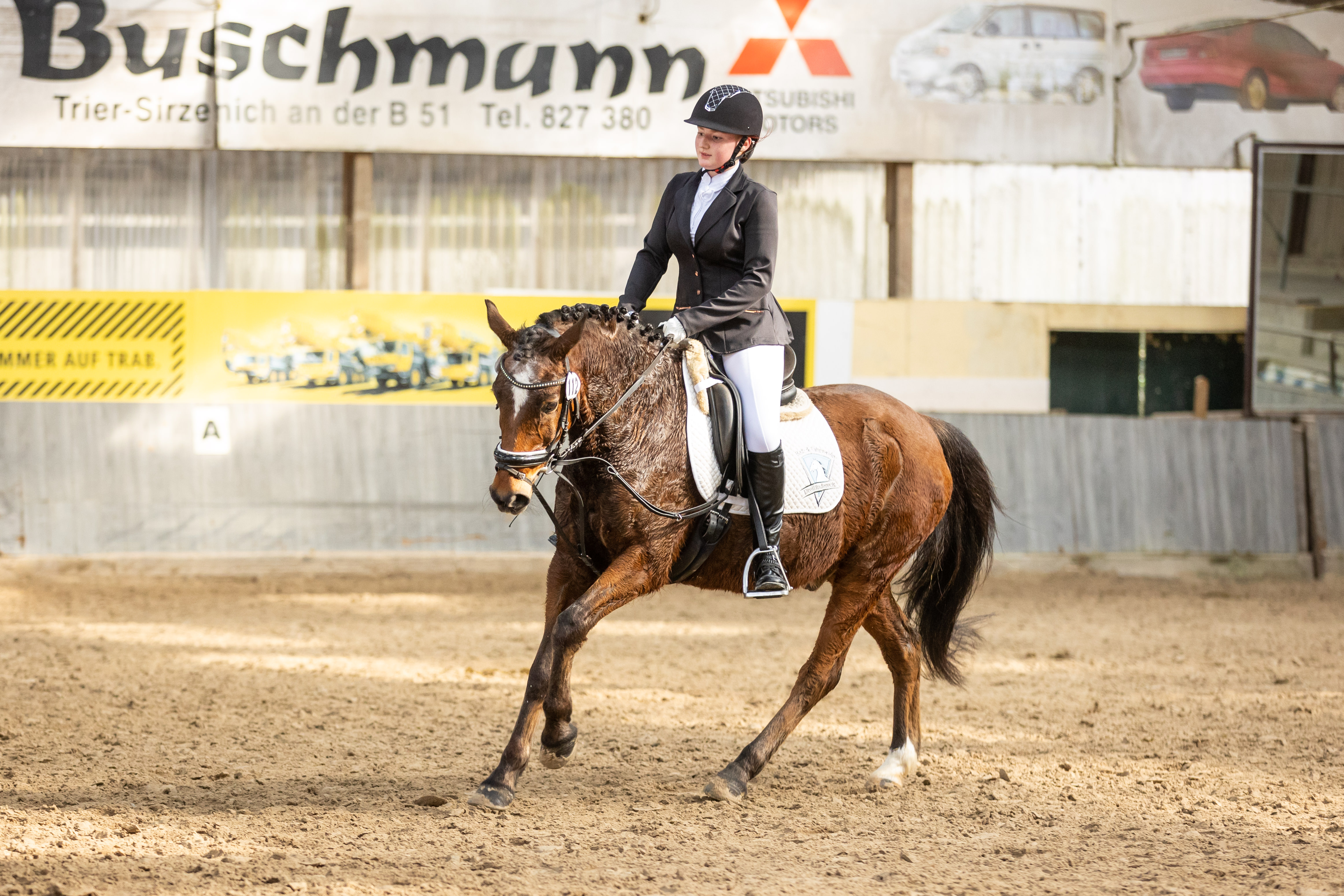 Galoppierendes Pferd mit Reiter während einer Dressurprüfung auf dem Trimmelter Hof in Trier