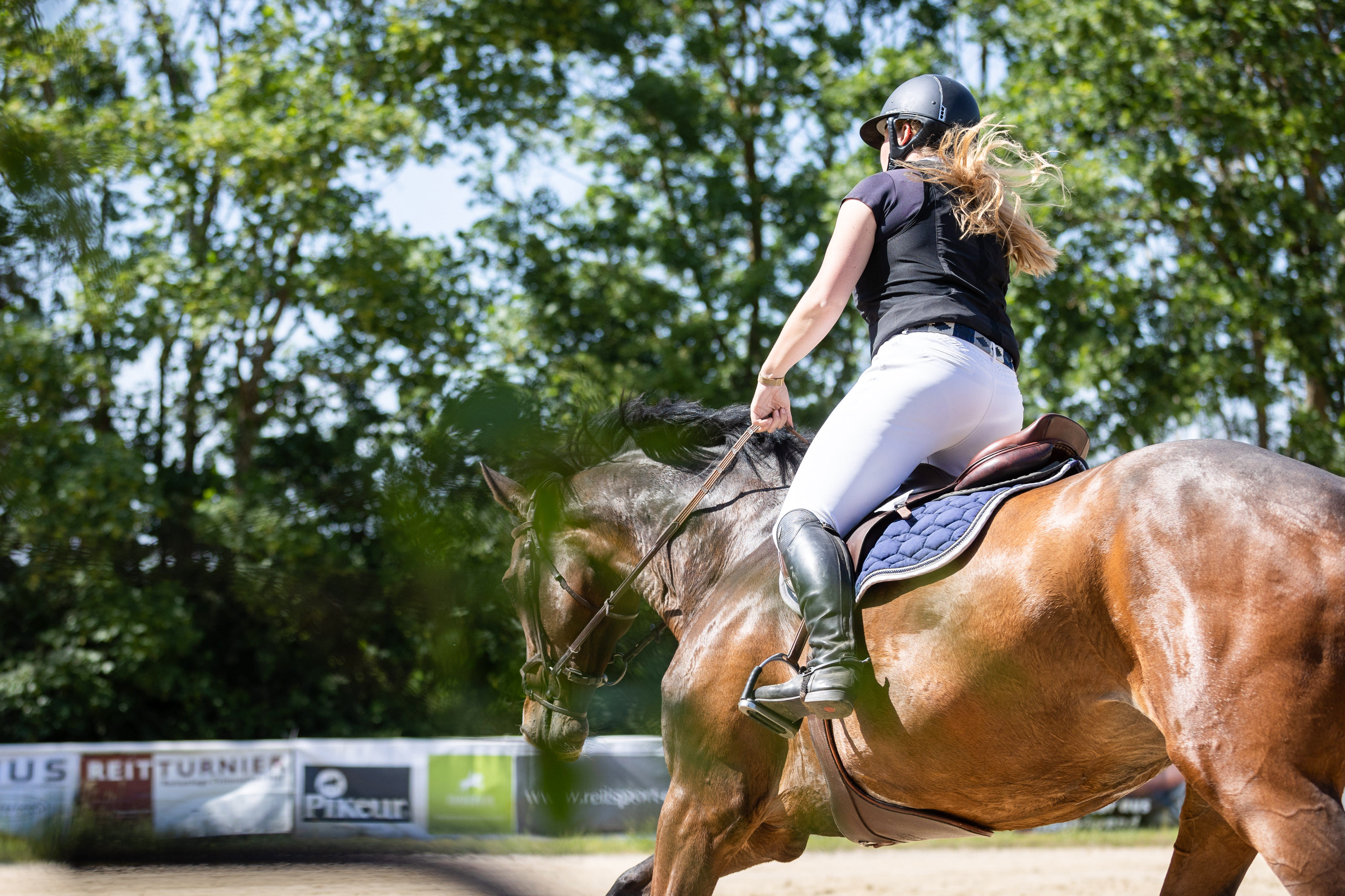Pferd mit Reiterin galoppiert seitlich am Fotografen vorbei, Blätter im Vordergrund