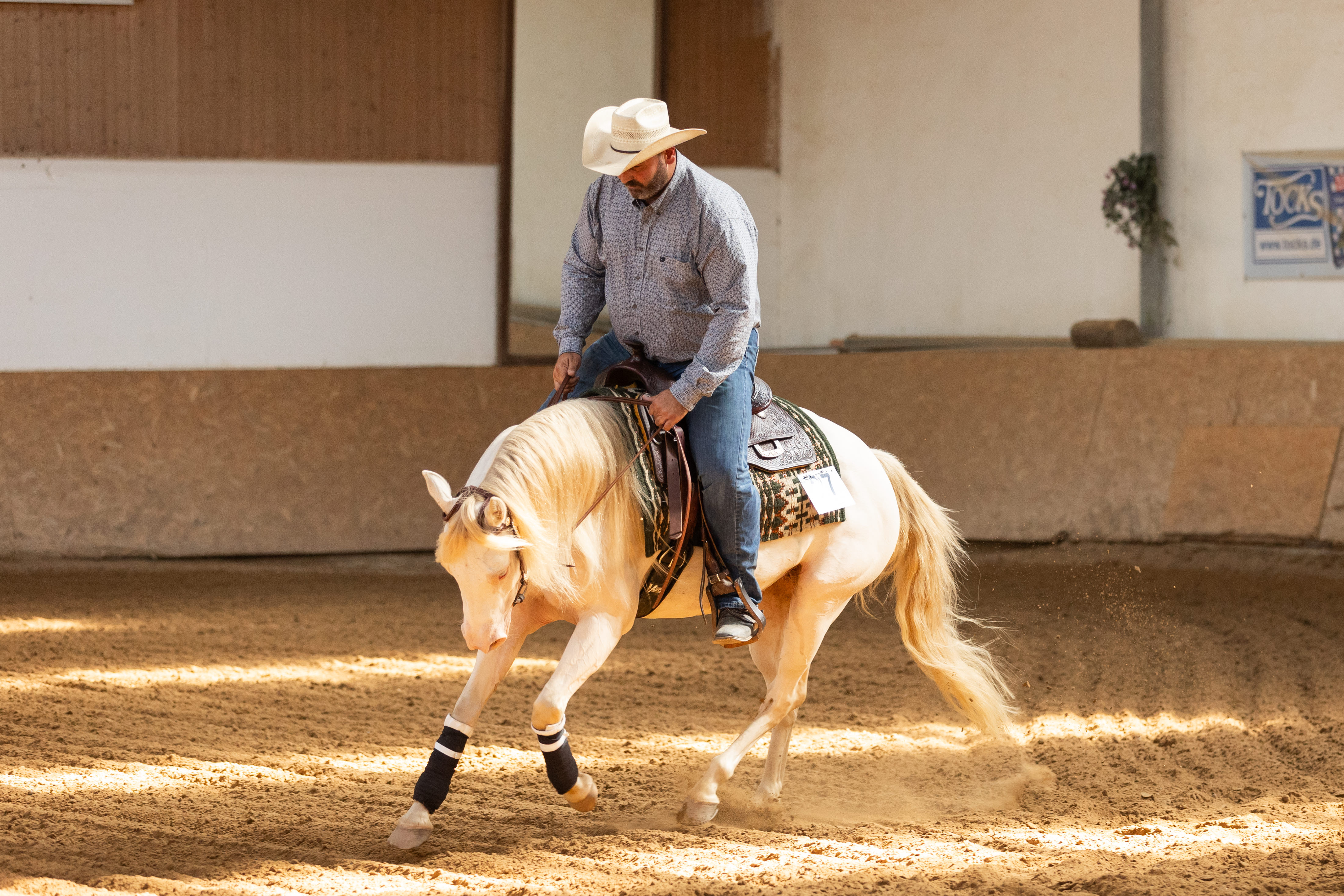 Mann galoppiert mit seinem Westernpferd in einer Reithalle