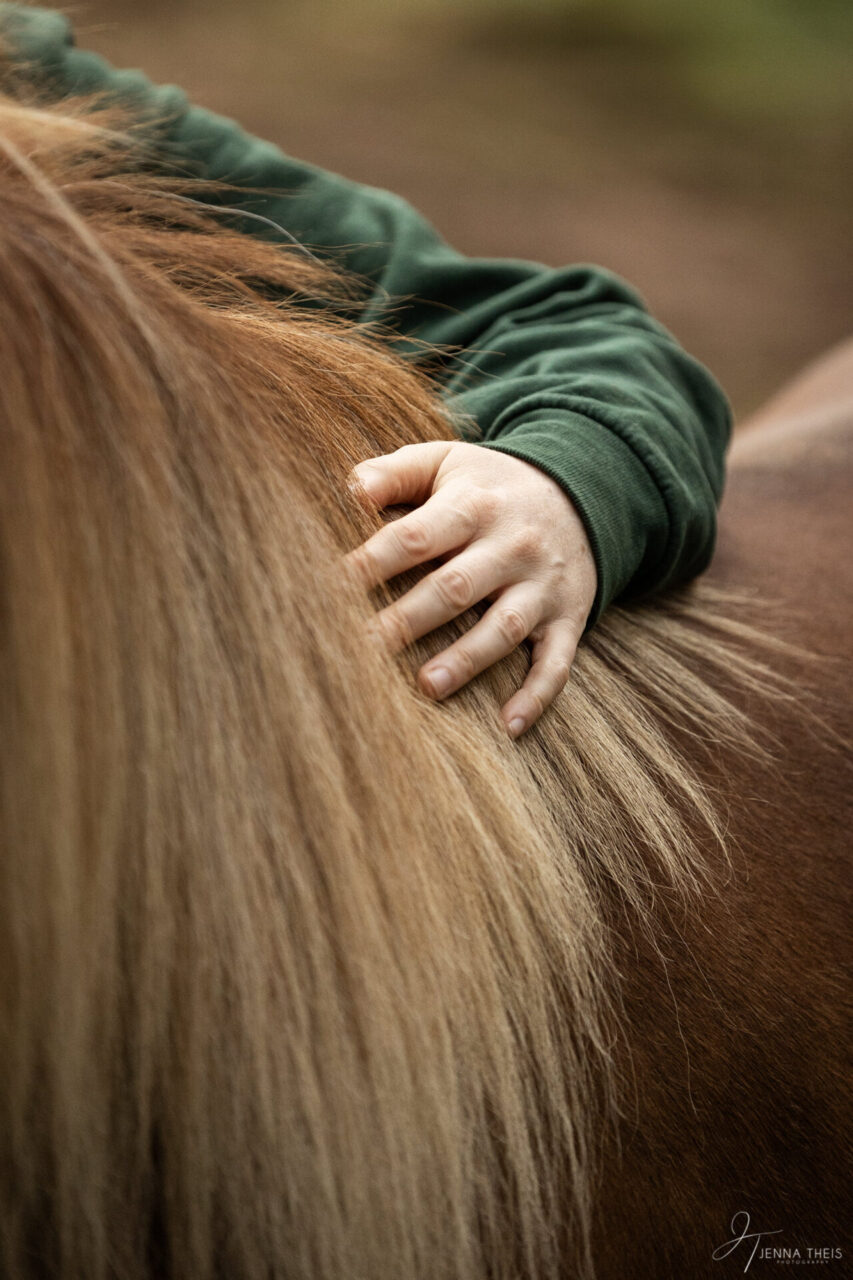 Detailaufnahme von einer Hand in der Mähne von einem Islandpferd