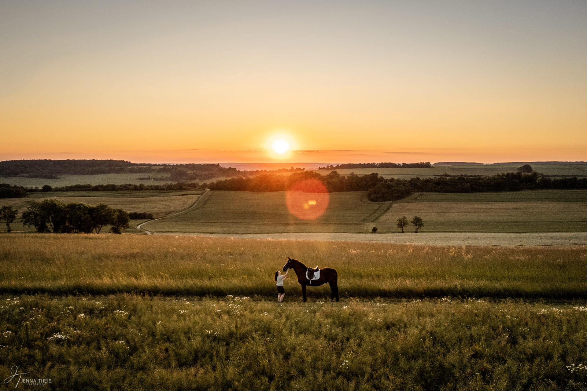 Drohnenaufnahme von einer Frau mit ihrem Schweren Warmblut im Sonnenuntergang