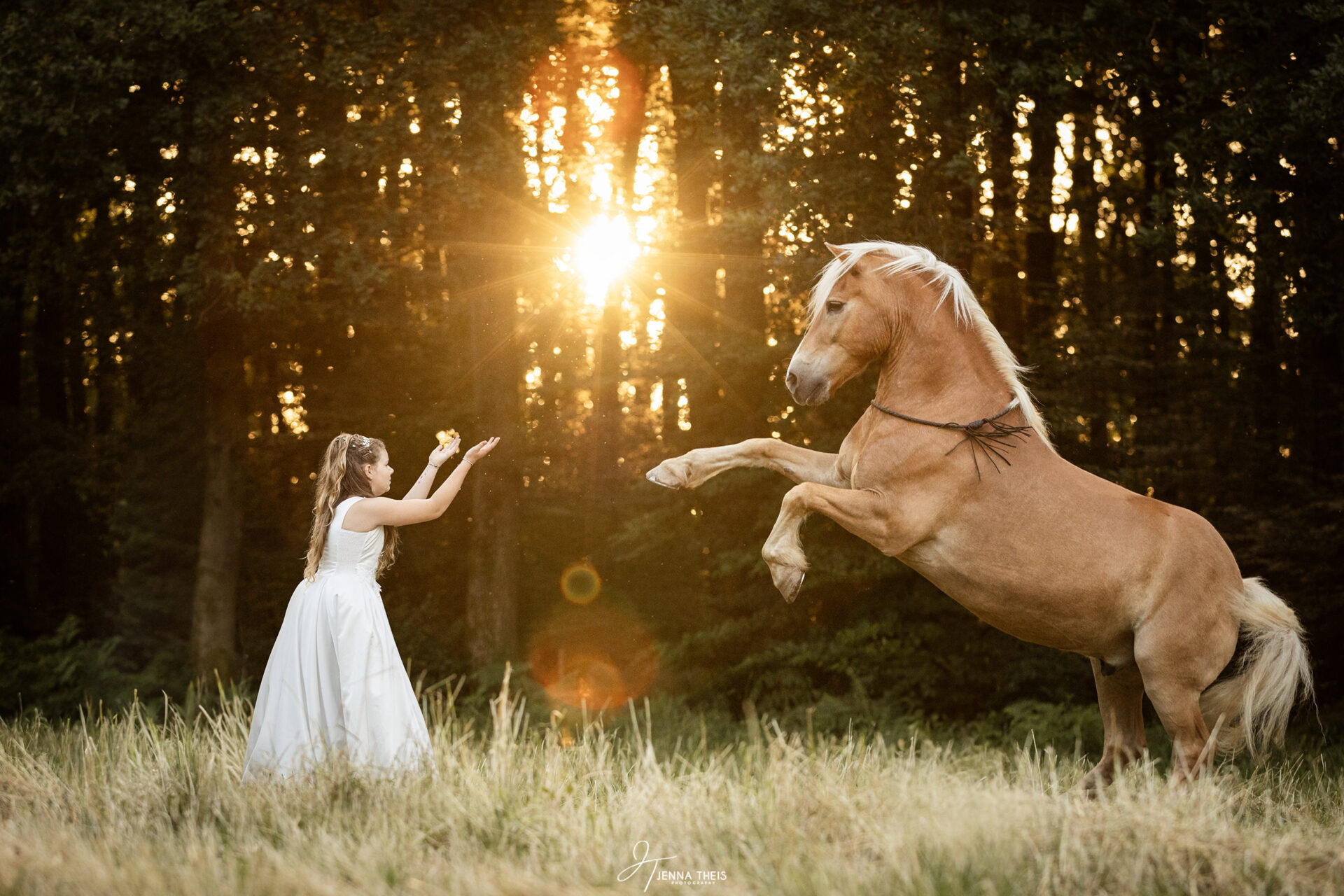 Junges Mädchen im Kommunionskleid vor steigendem Haflinger im Sonnenuntergang