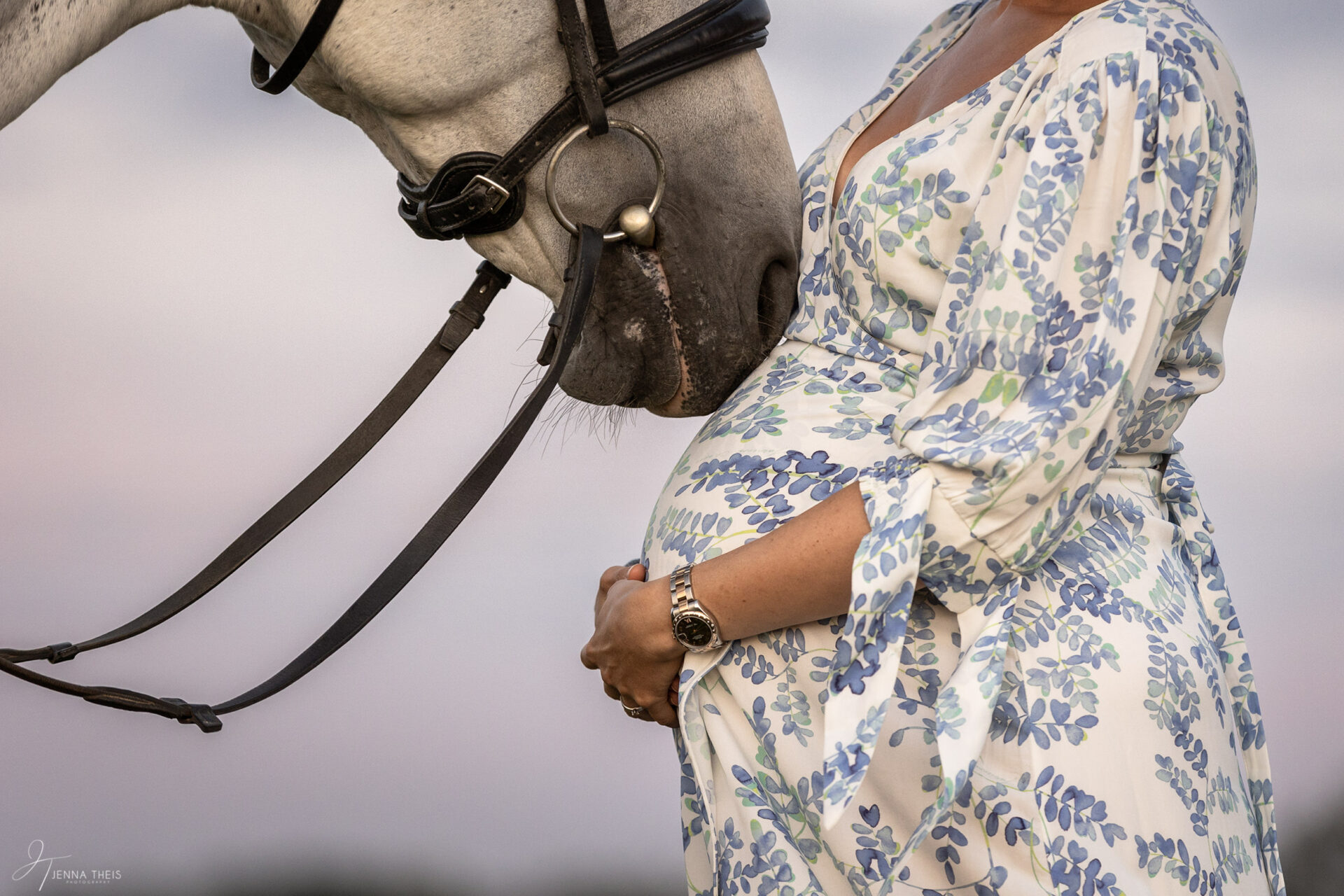 Detailaufnahme von einem weißen Pferd, das seinen Kopf zum Bauch einer schwangeren Frau beugt