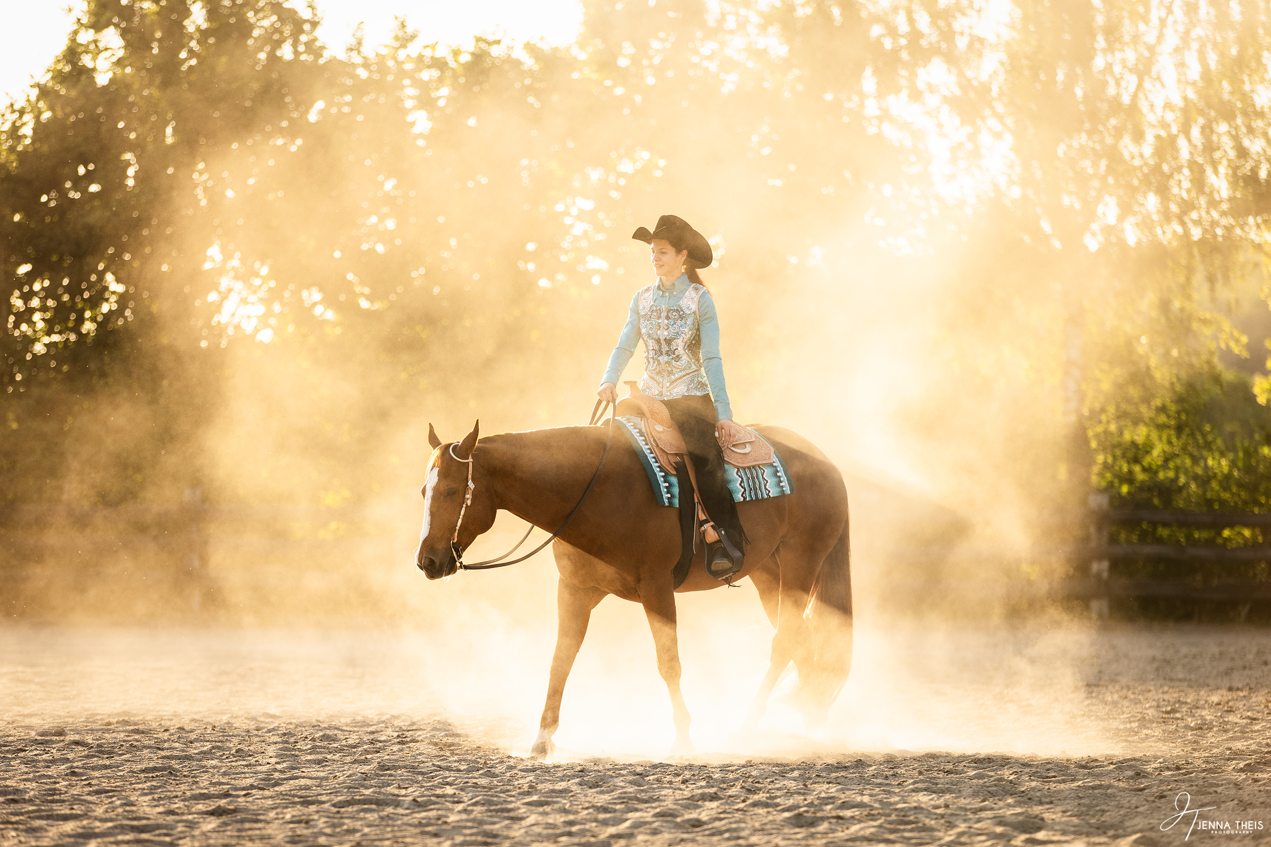 Frau reitet ihr Quarter Horse auf einem Reitplatz, der aufgewirbelte Sand wird von der Sonne angestrahlt