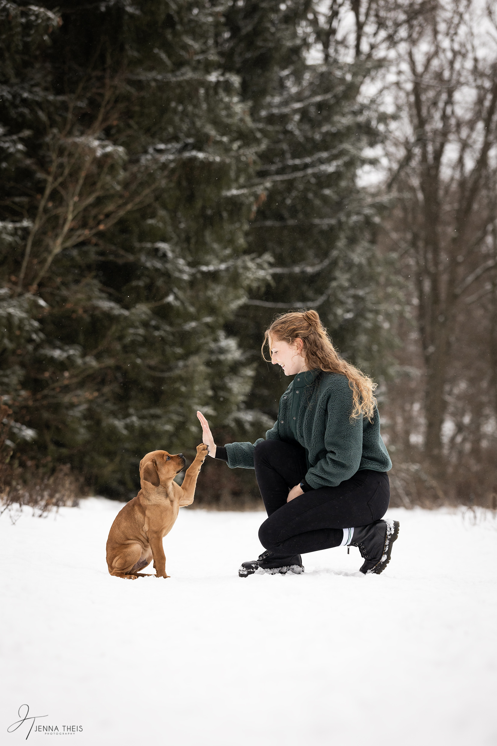 Frau macht High Five mit ihrem Welpen im Schnee